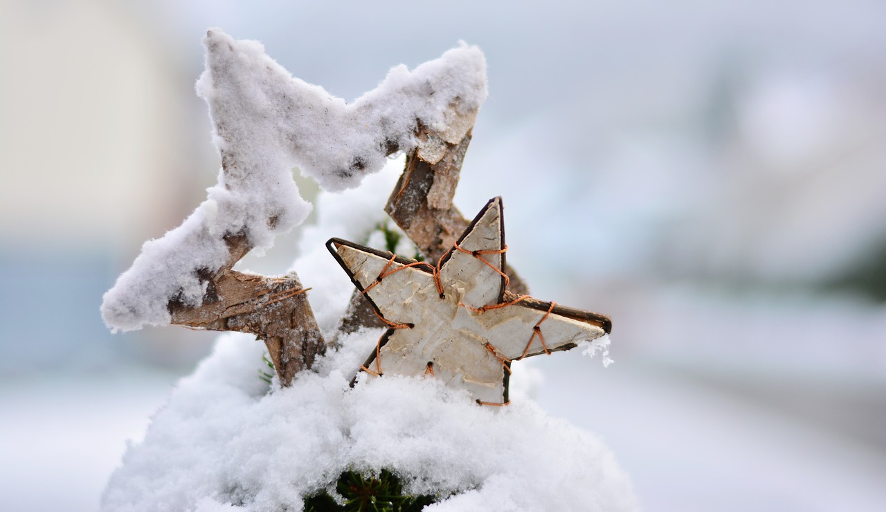 Image - snow winter wintry star poinsettia