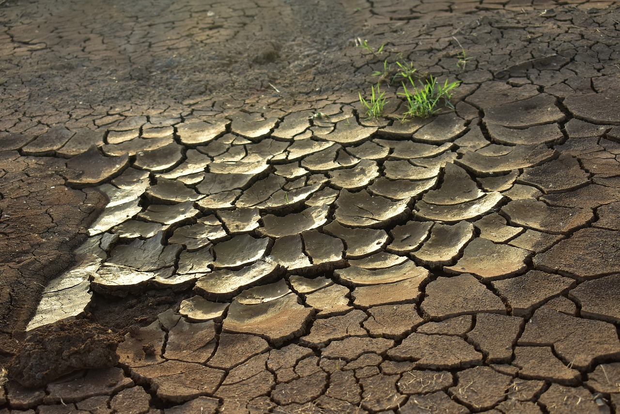 Image - drought dry mud cracked dry land