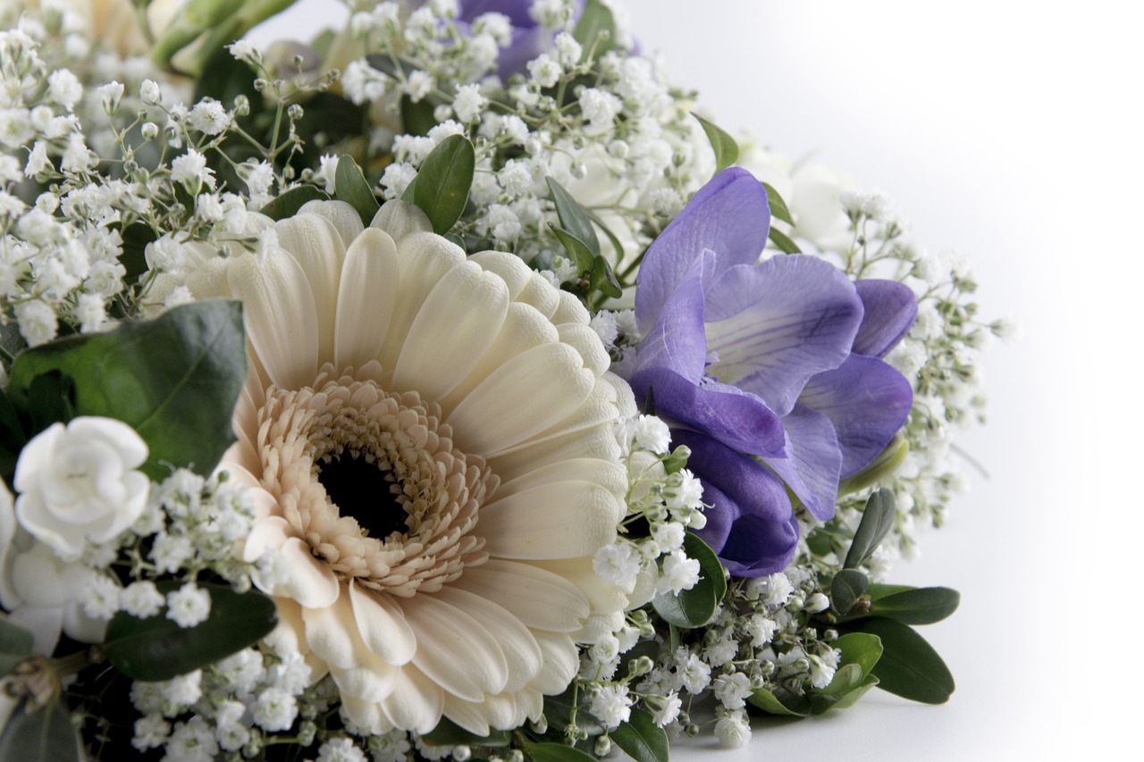 Image - flowers gerbera roses tulips close