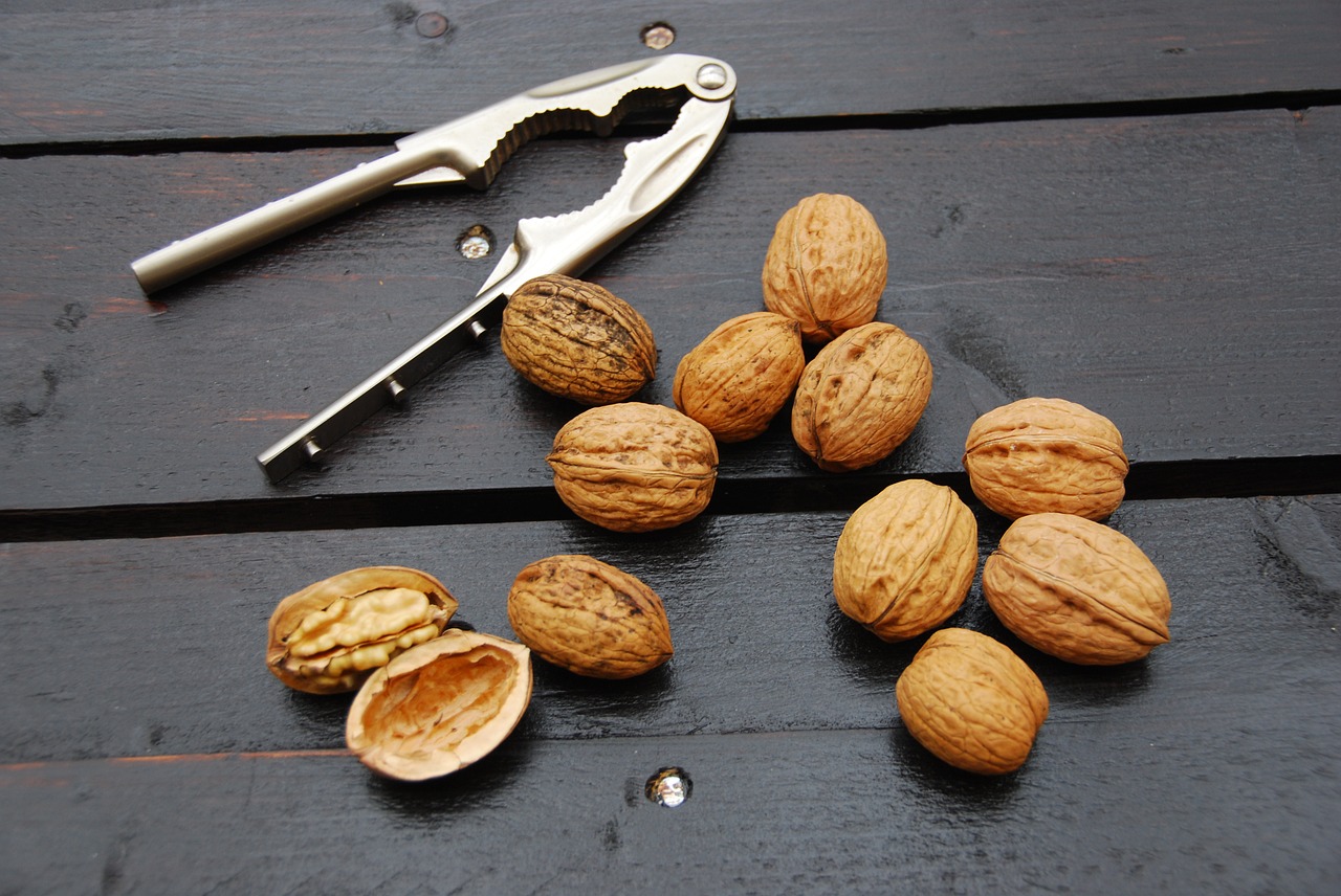 Image - walnuts wood winter