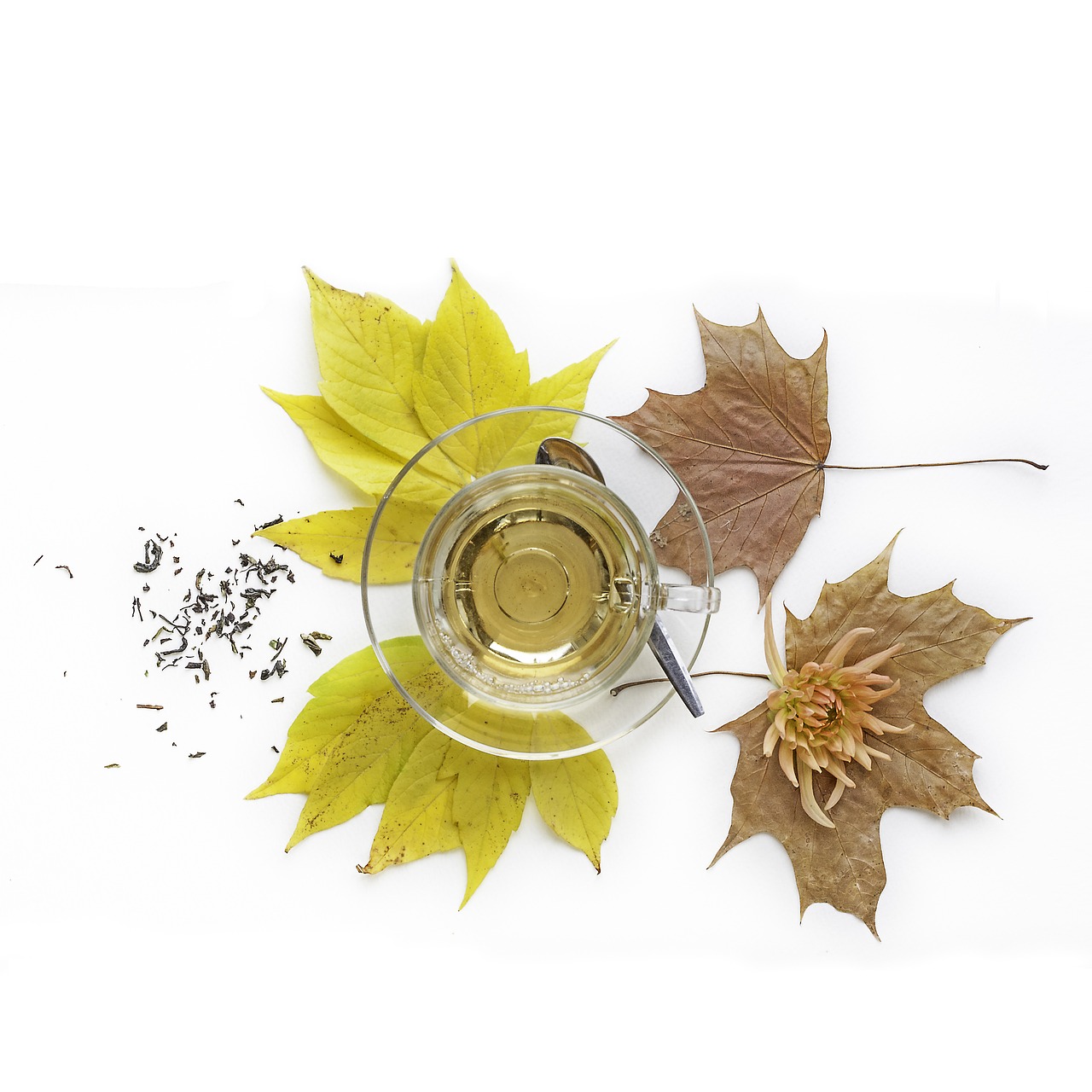 Image - autumn leaves bowl