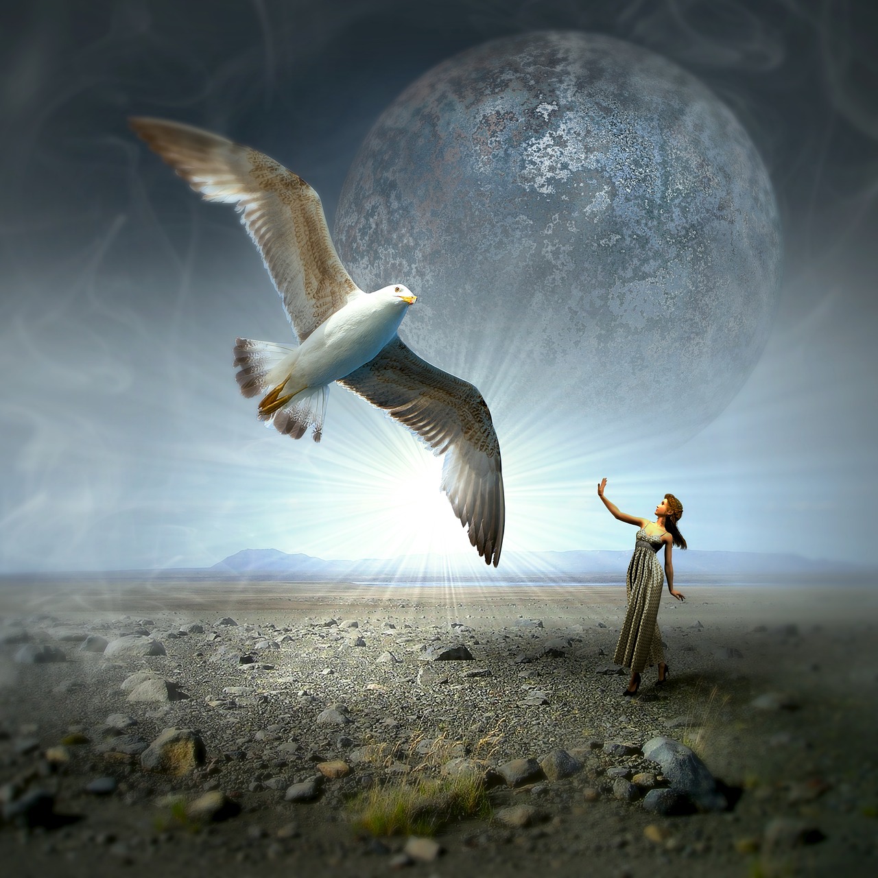 Image - cd cover gull woman moon landscape