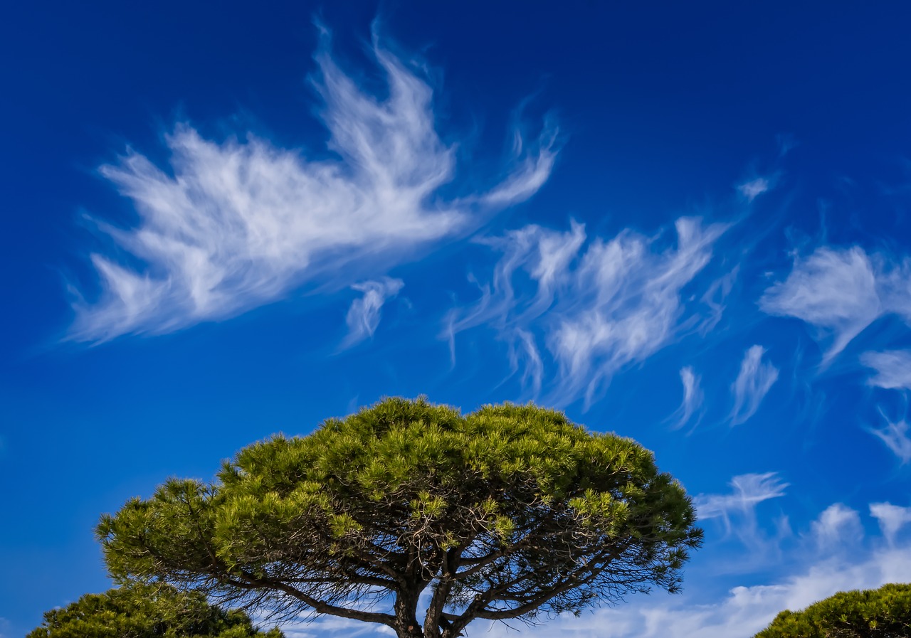 Image - sky clouds blue south of france