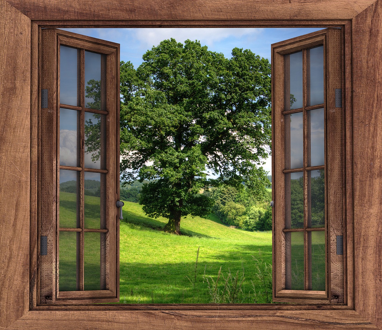 Image - window view tree landscape season