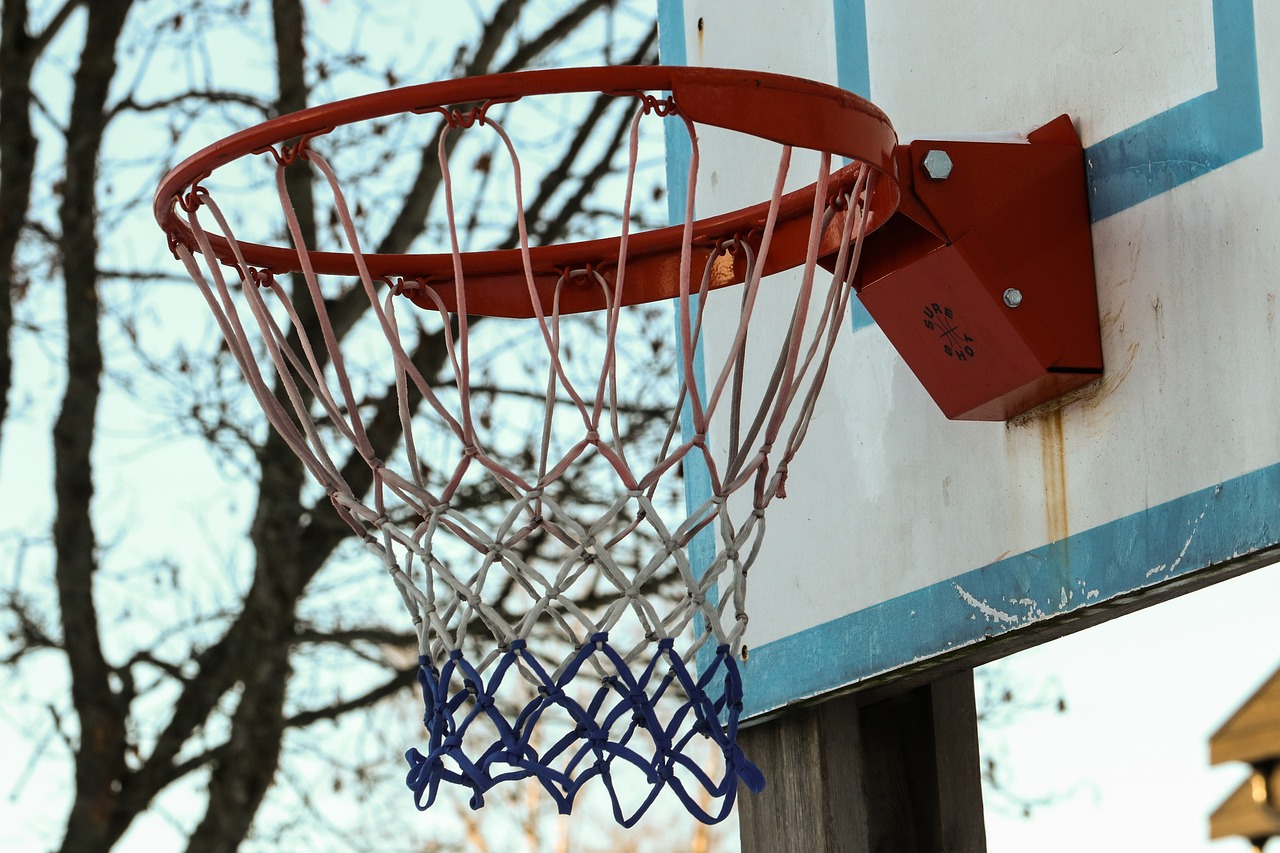 Image - basket basketball sport game