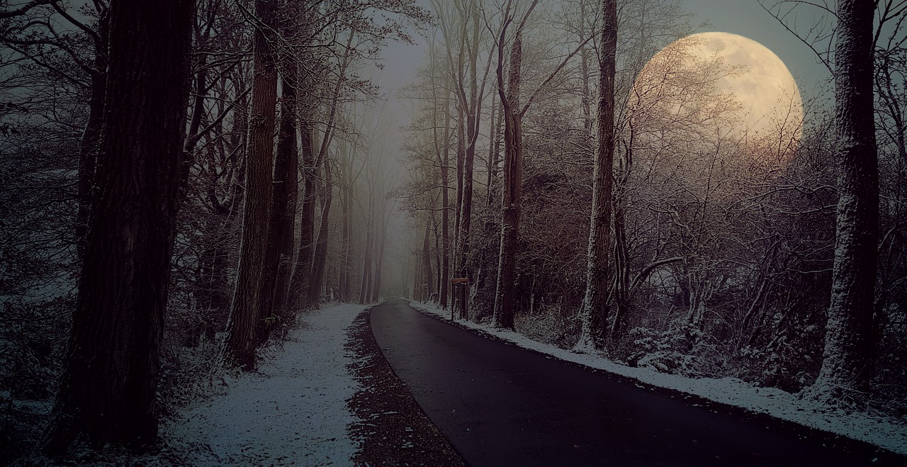 Image - road avenue winter fog moon snow