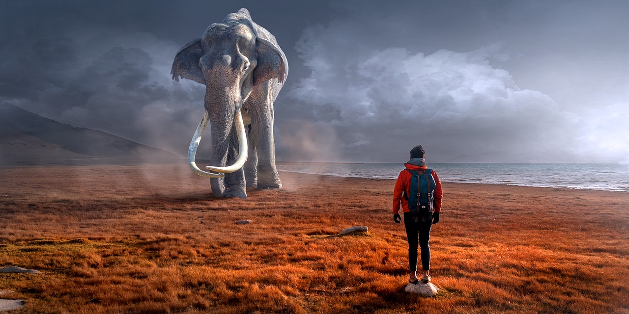 Image - fantasy landscape elephant man sun