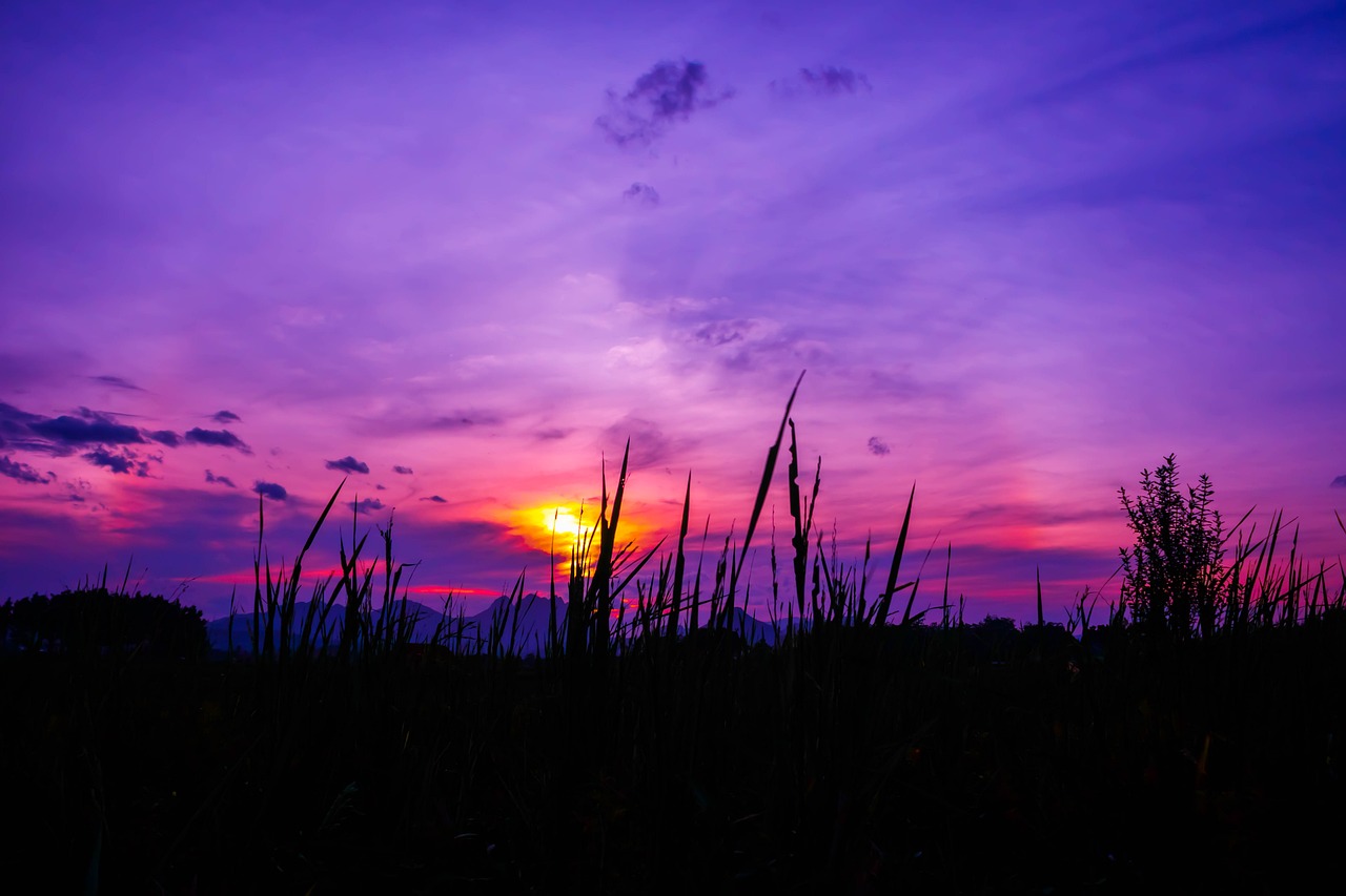 Image - twilight rainbow field