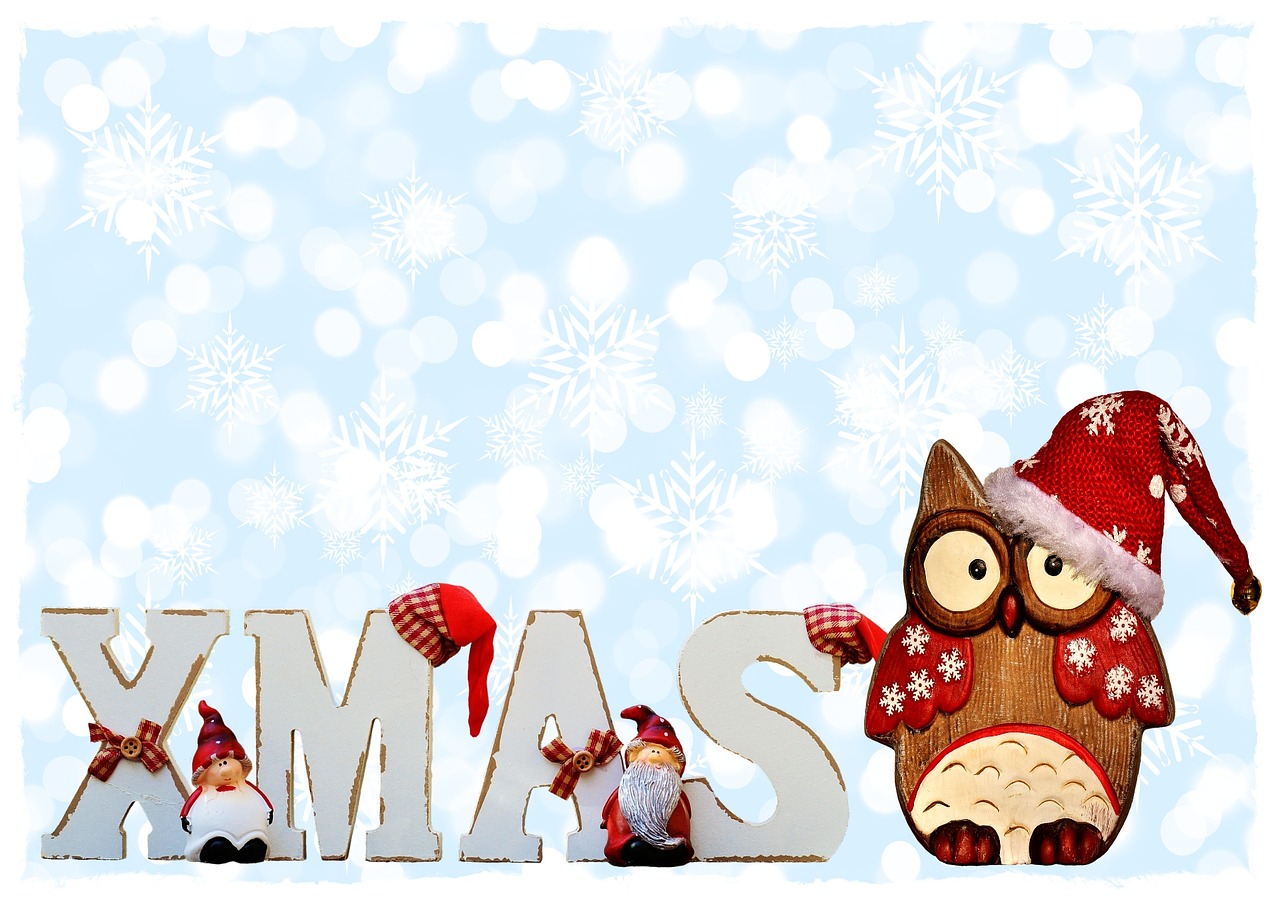 Image - xmas typography owl christmas hat