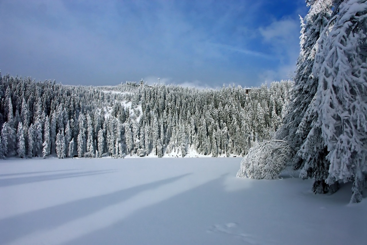 Image - winter snow wintry cold white