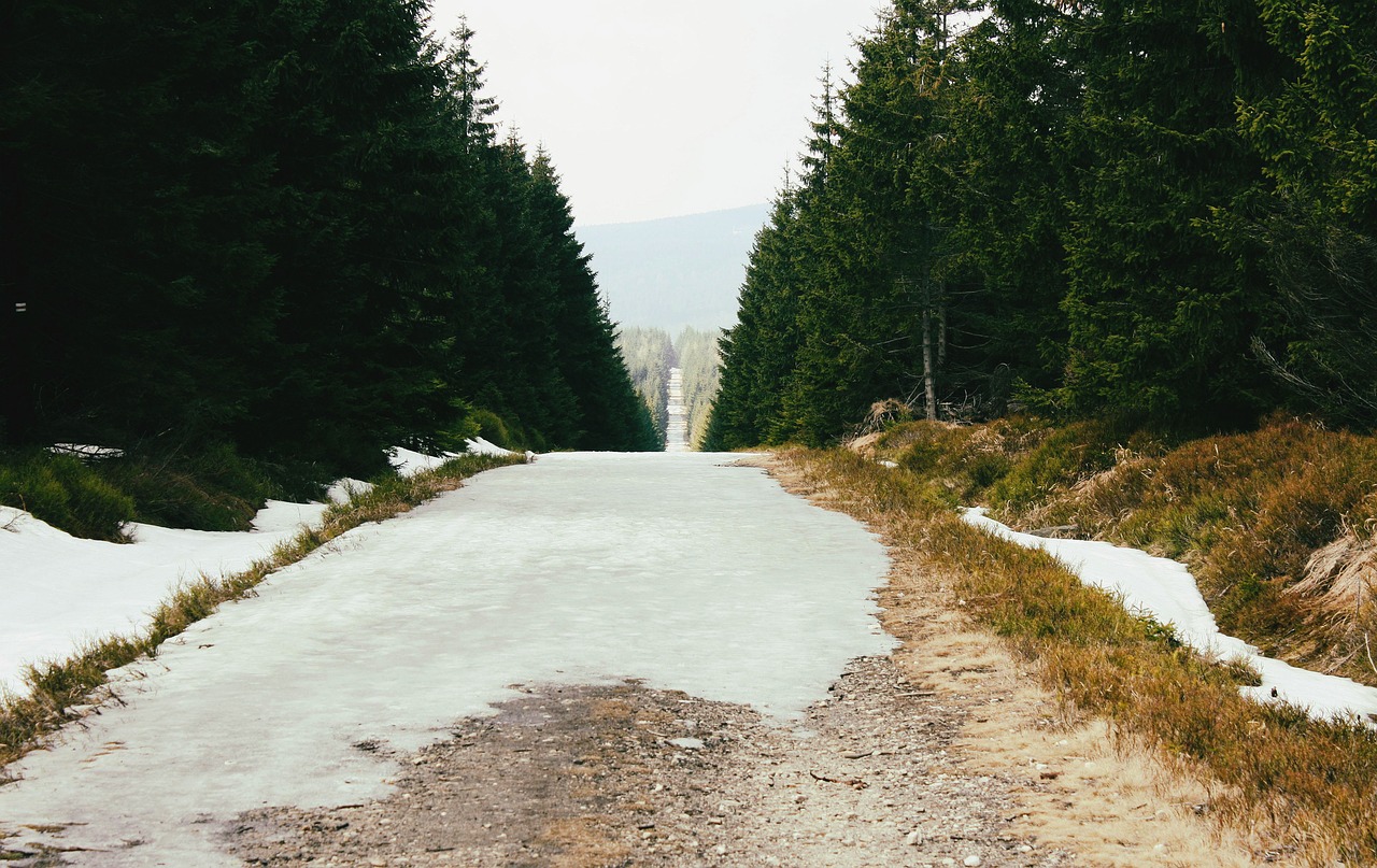 Image - mountains the path view nature