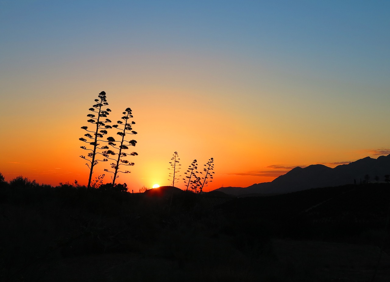 Image - sunrise spain sky landscape