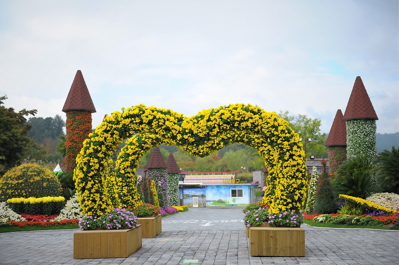 Image - festival chrysanthemum flower autumn