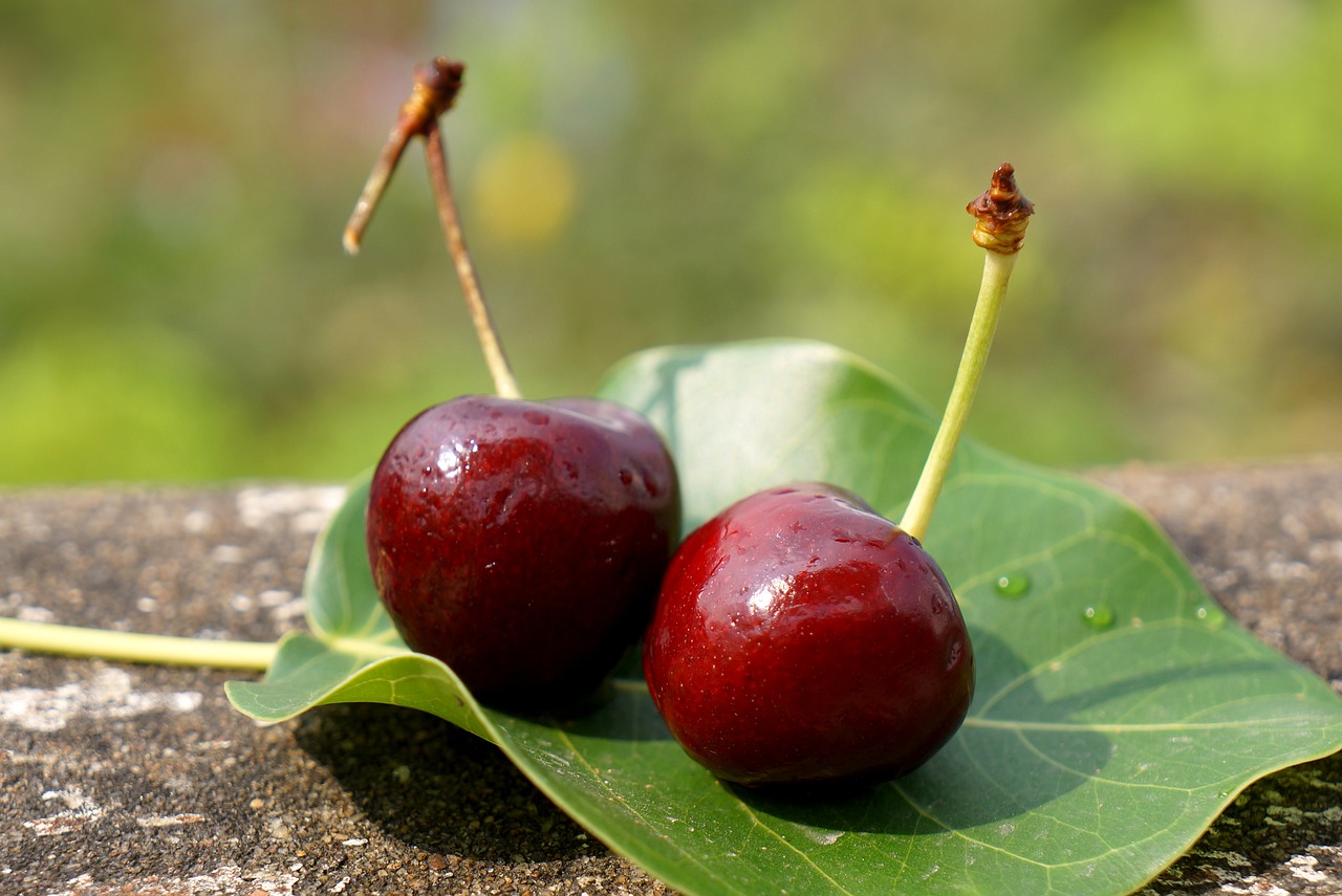 Image - food the cherry australia nine dream