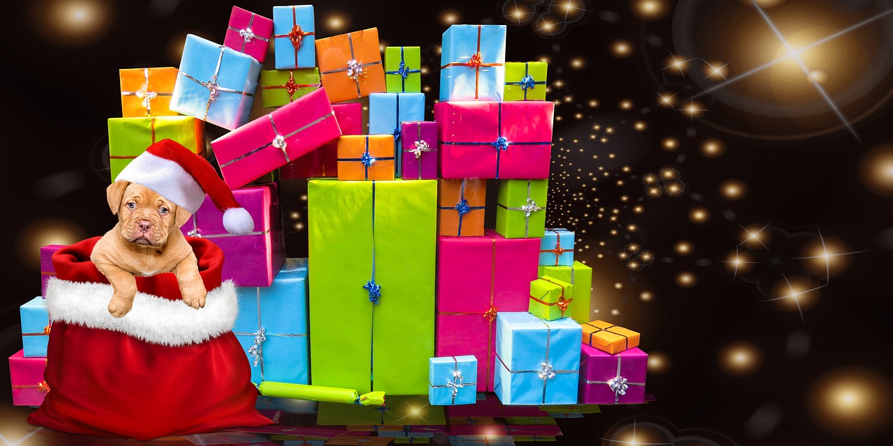 Image - christmas gifts dog christmas dog