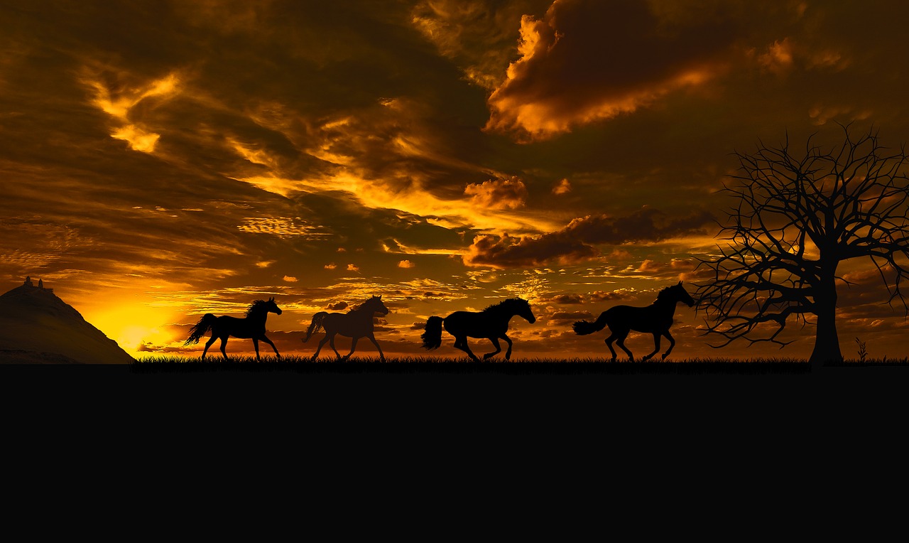 Image - sunset horses sky evening dusk