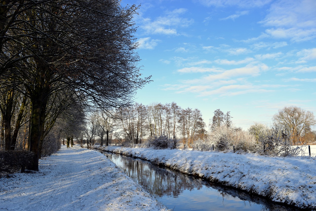 Image - winter walk river snow wintry