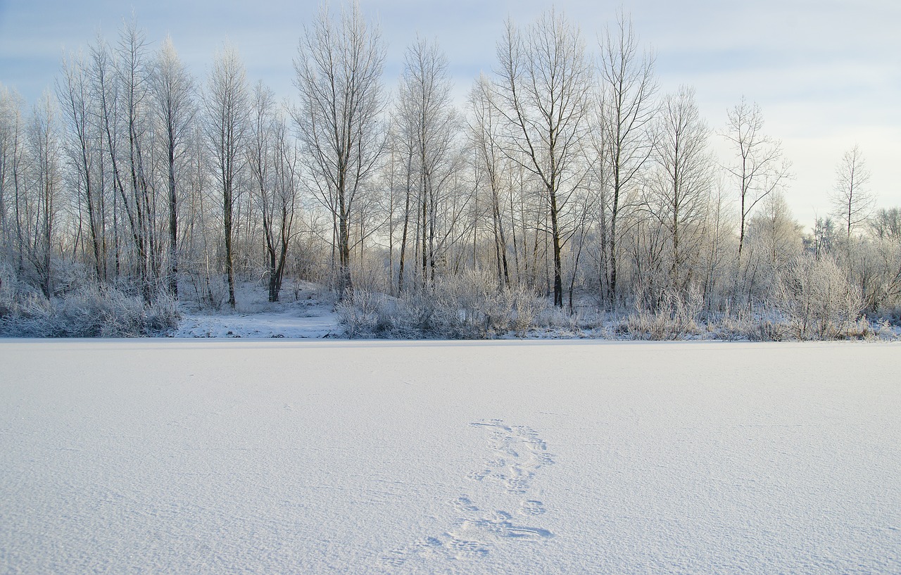 Image - lake travel siberia landscapes day