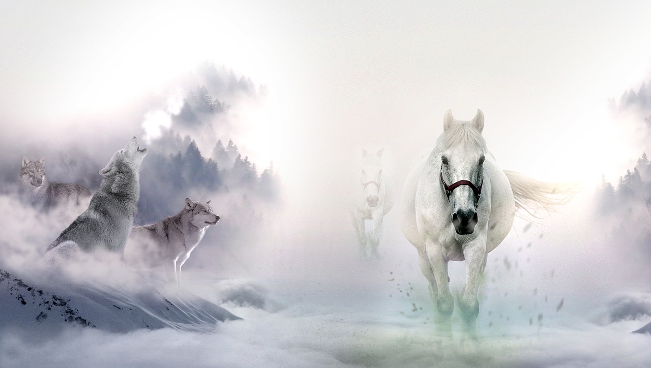 Image - horses wolves wild nature