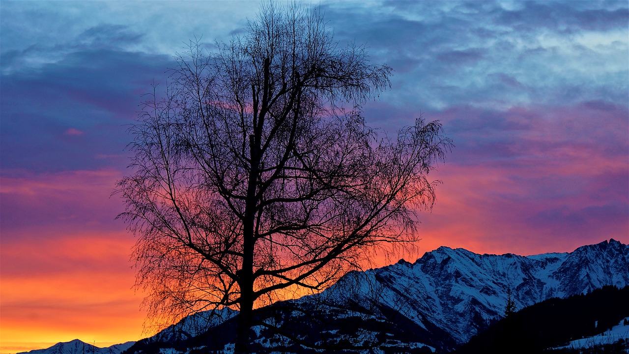 Image - sunrise light tree mountains