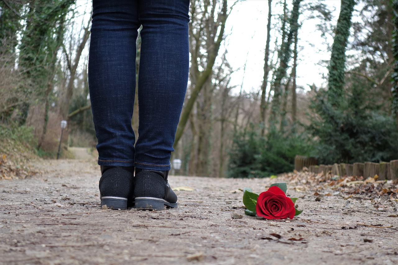 Image - red rose on the floor love sad girl