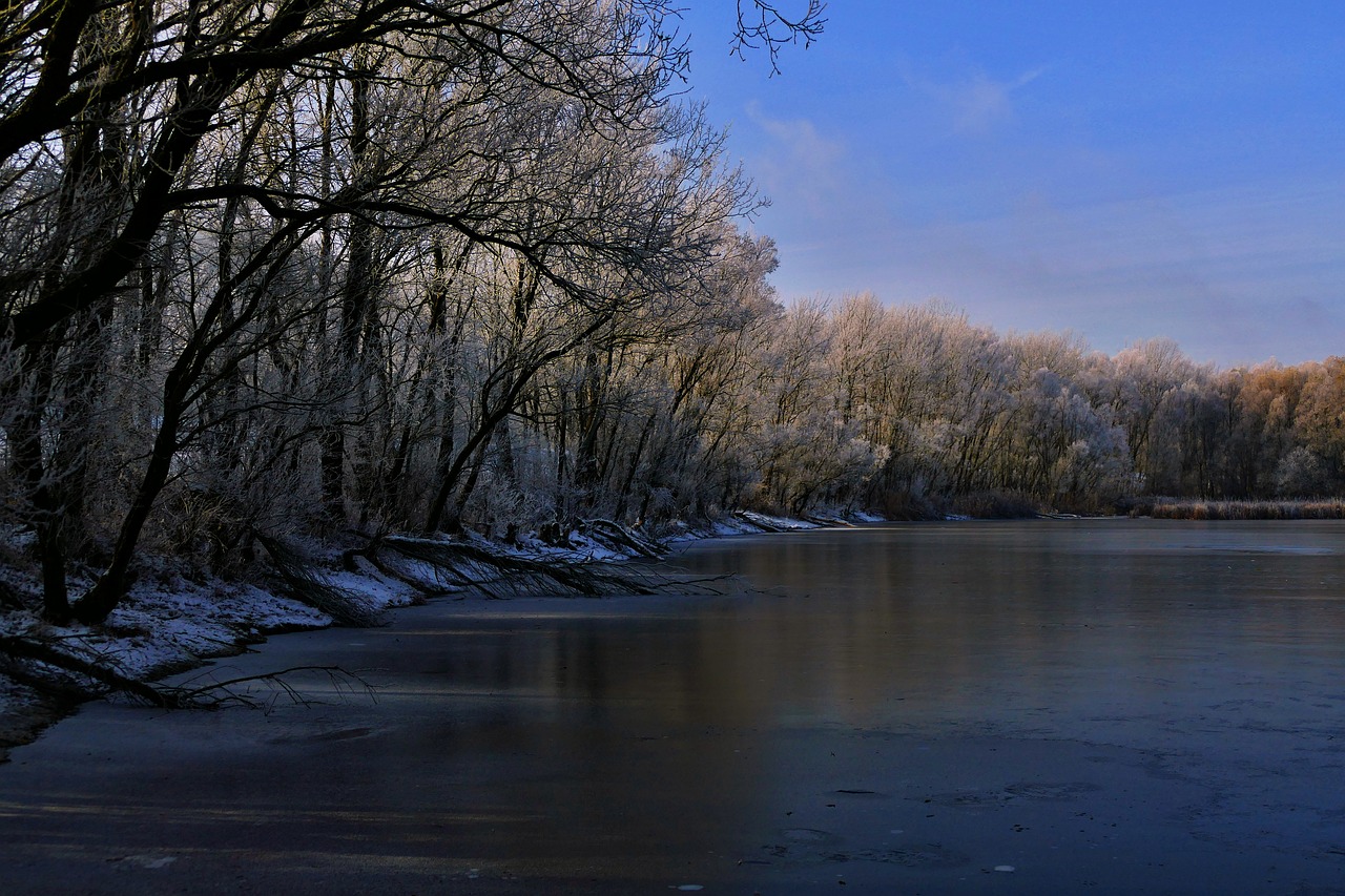 Image - nature country trees lake the sky