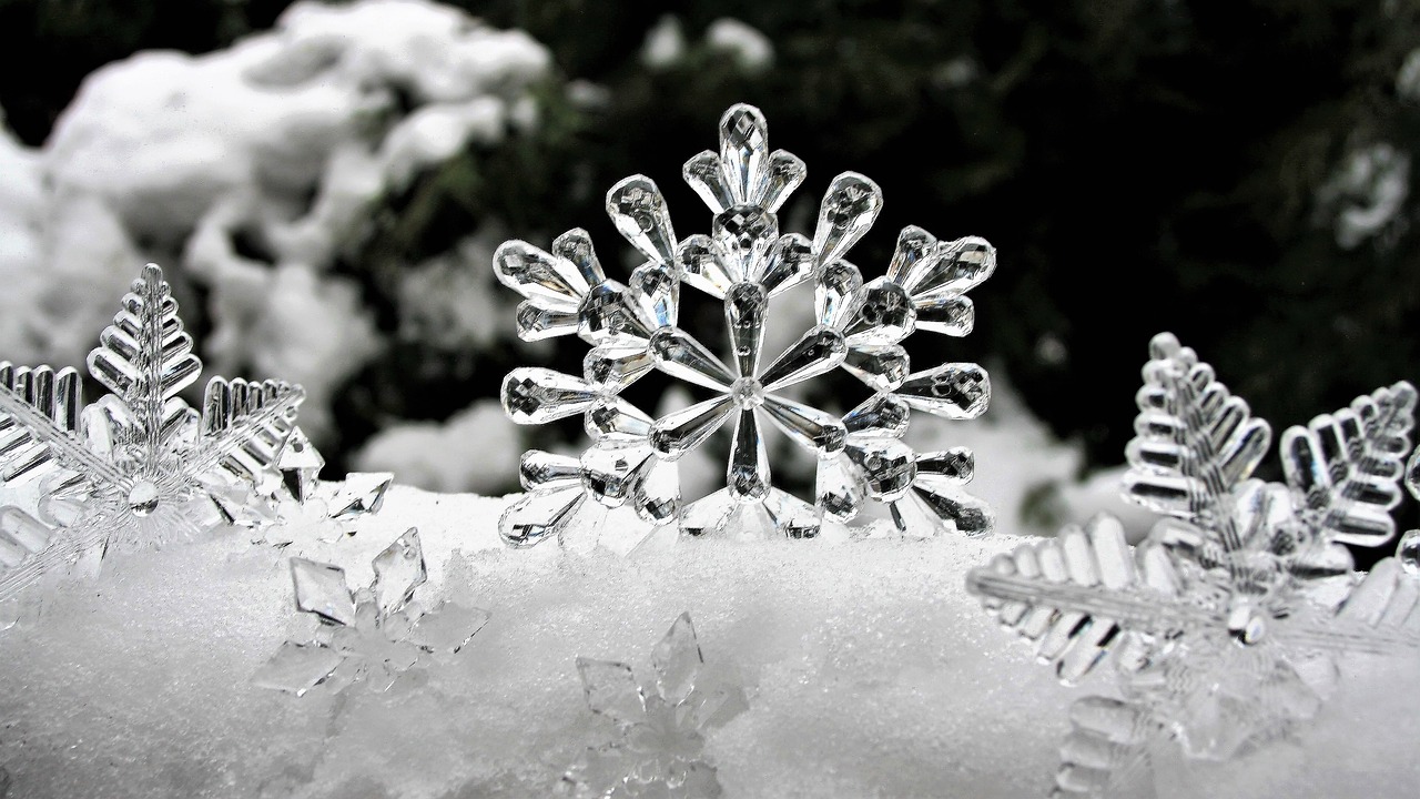 Image - ice stars winter snow