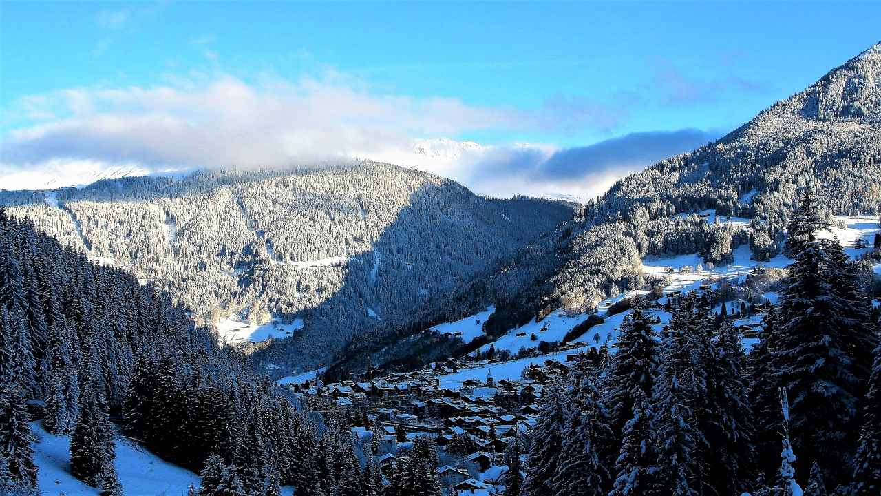 Image - winter snow white landscape tree