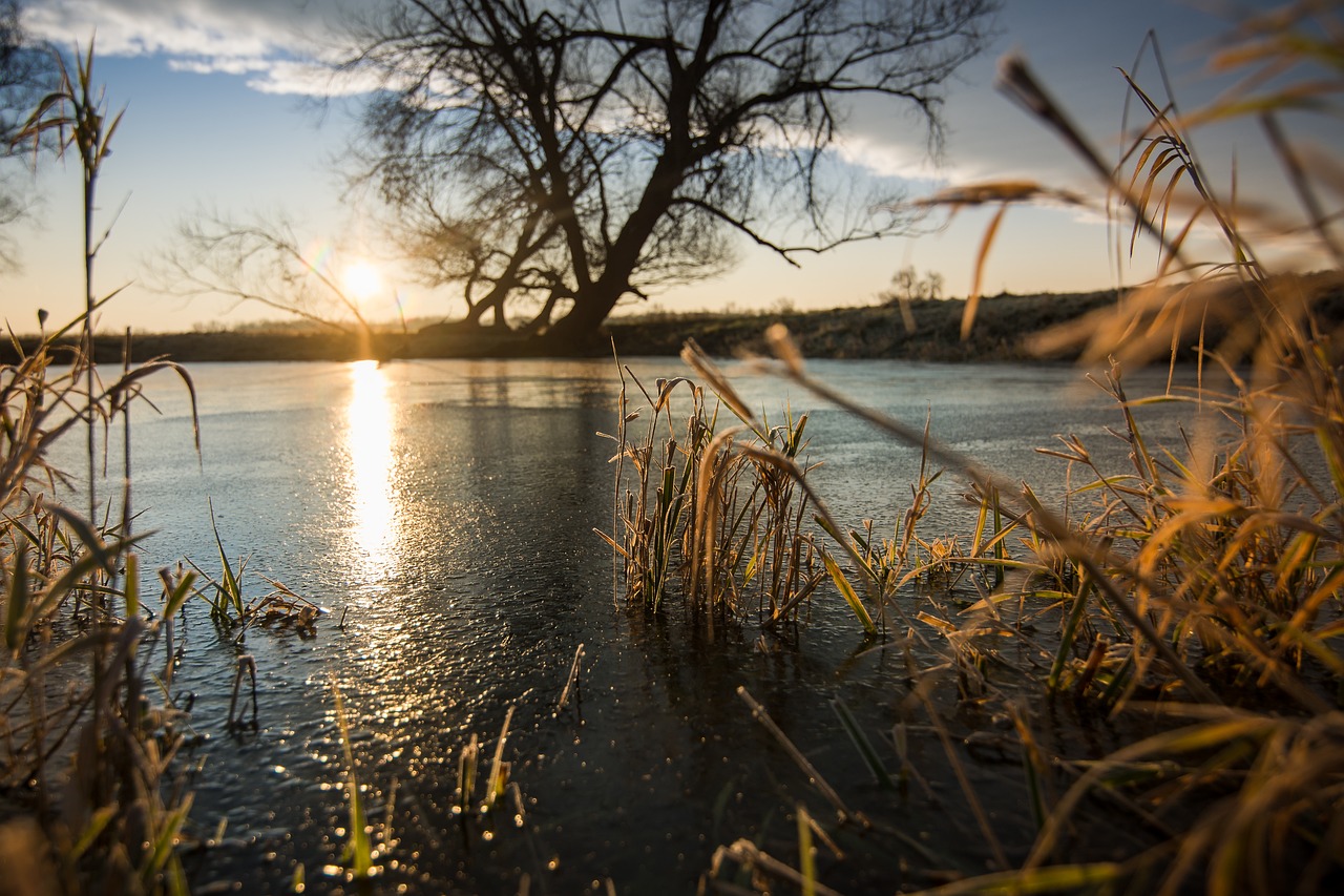 Image - sunrise elbwiesen mood landscape