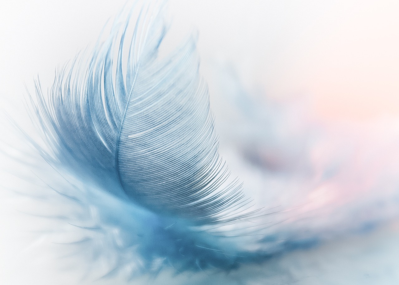 Image - feather ease slightly blue airy