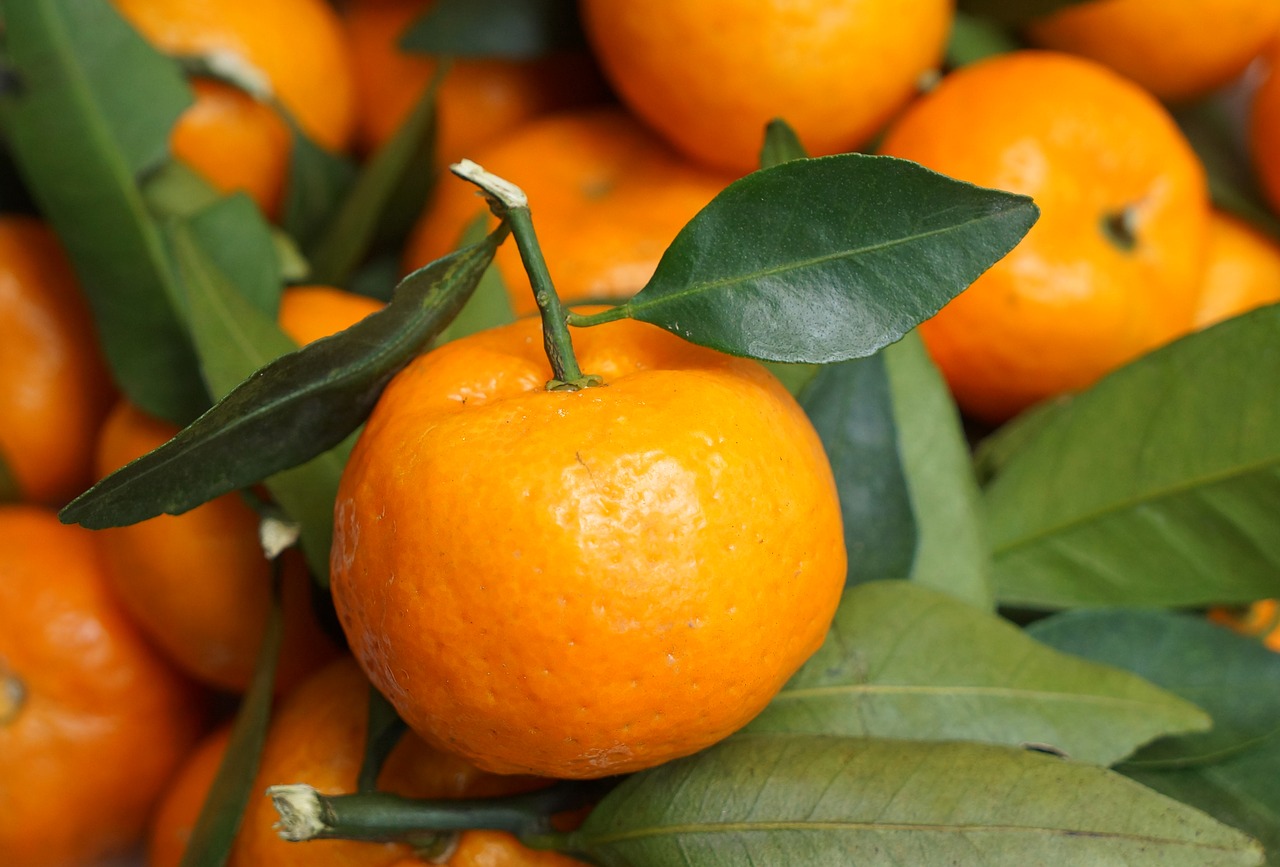 Image - food fruits tangerines