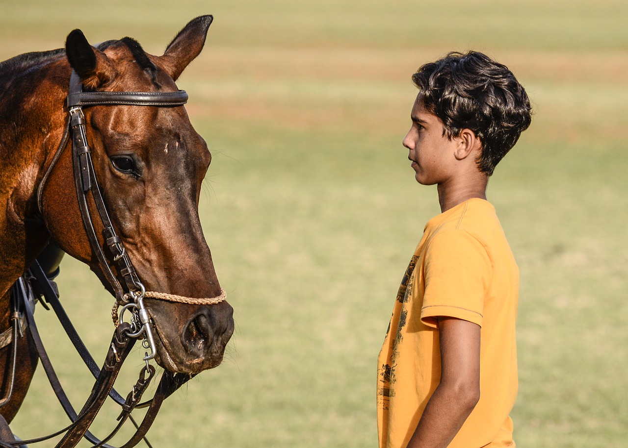 Image - horse horses polo polo sport