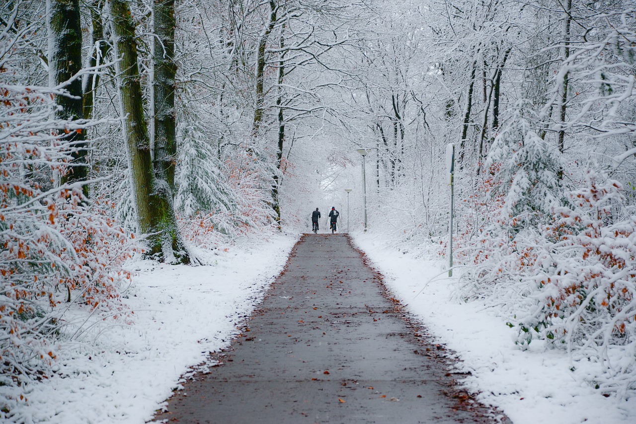 Image - winter bike path kids biking