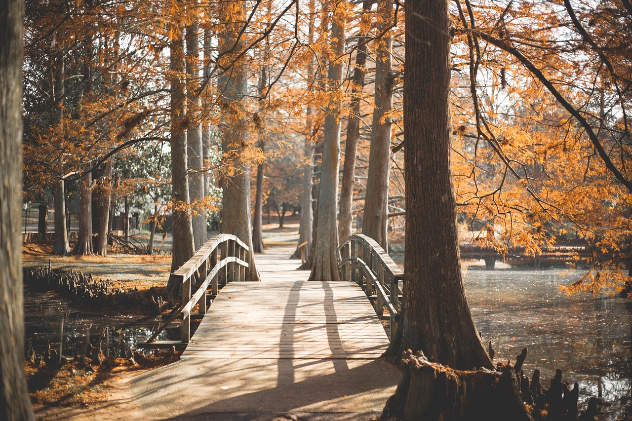 Image - bridge park outside walk path
