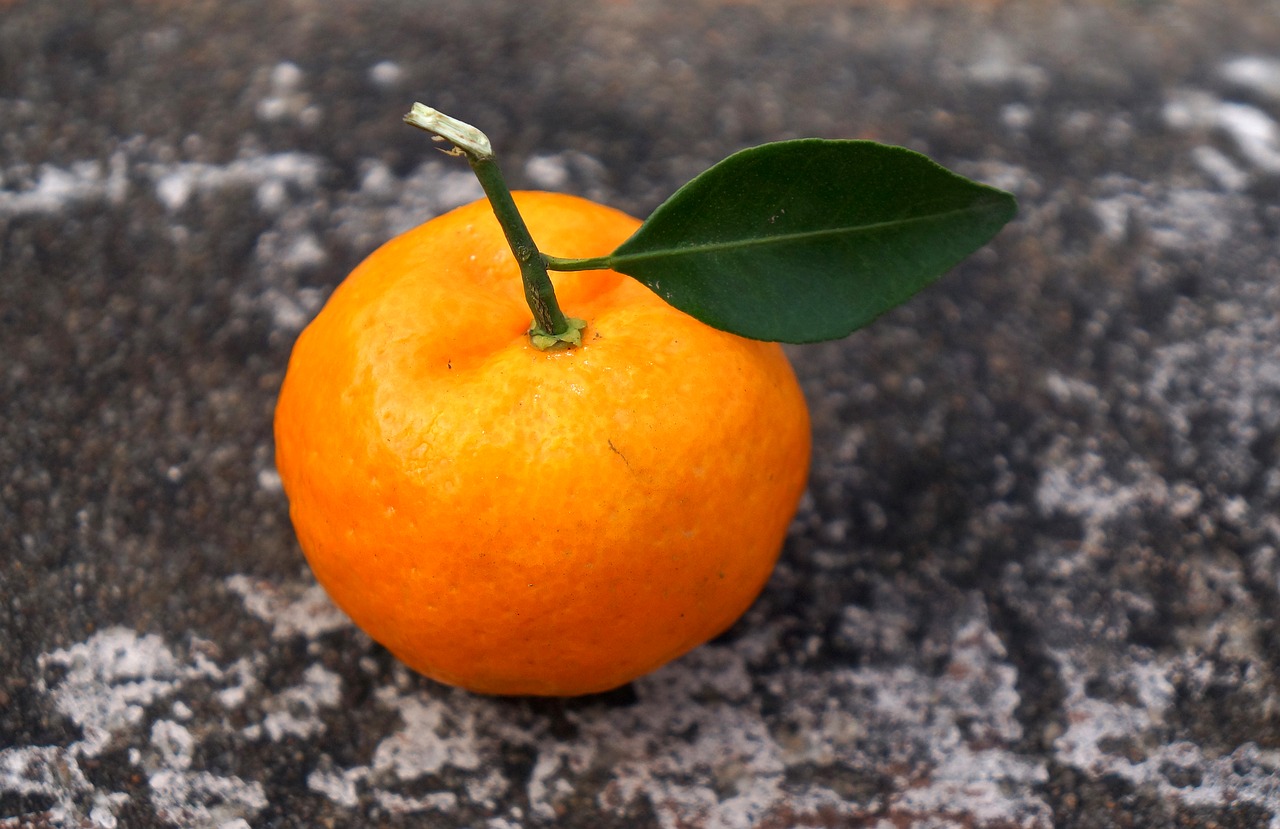 Image - food fruits vietnam tangerines