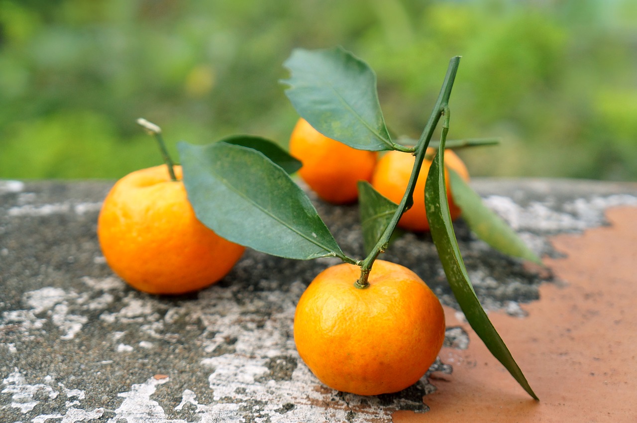 Image - food fruits vietnam tangerines