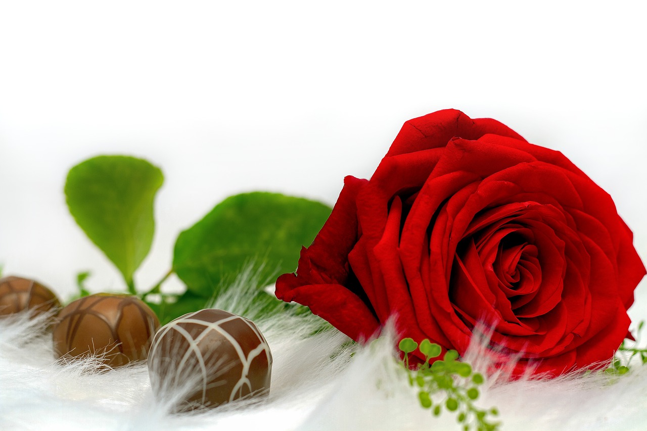 Image - rose chocolate love nibble