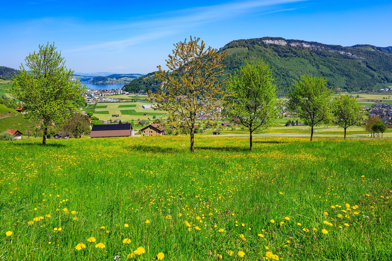 Image - stanserhorn lake lucerne lake