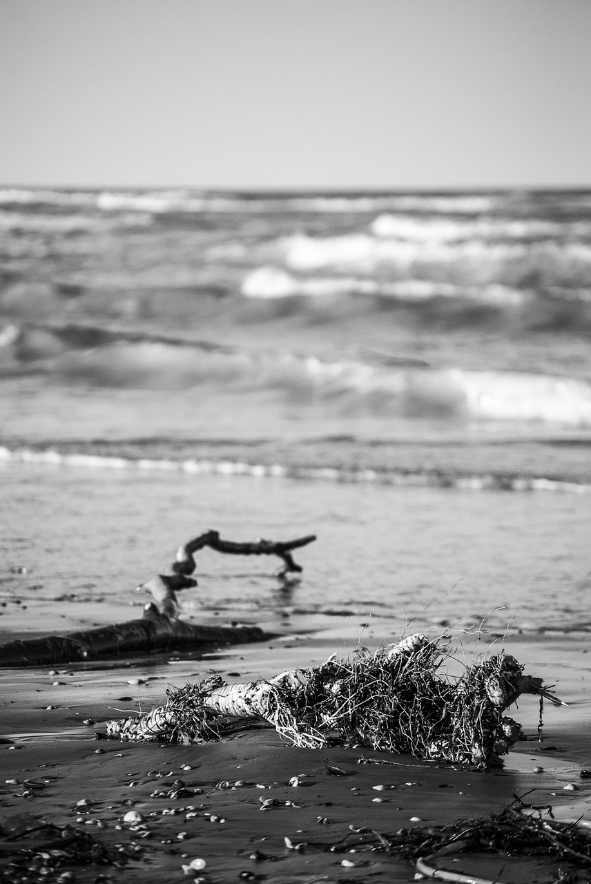 Image - beach sea storm waves sea woodwind