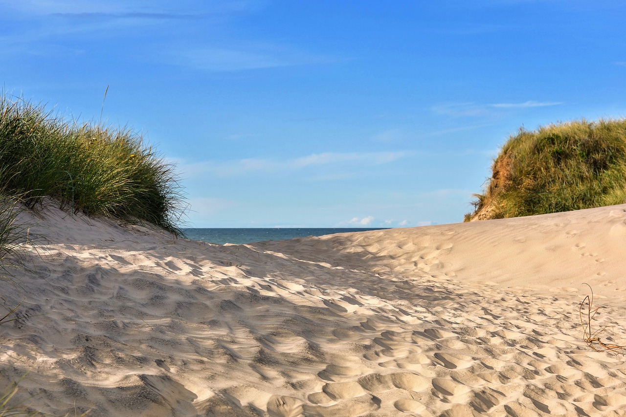 Image - sun north sea beach dune holiday