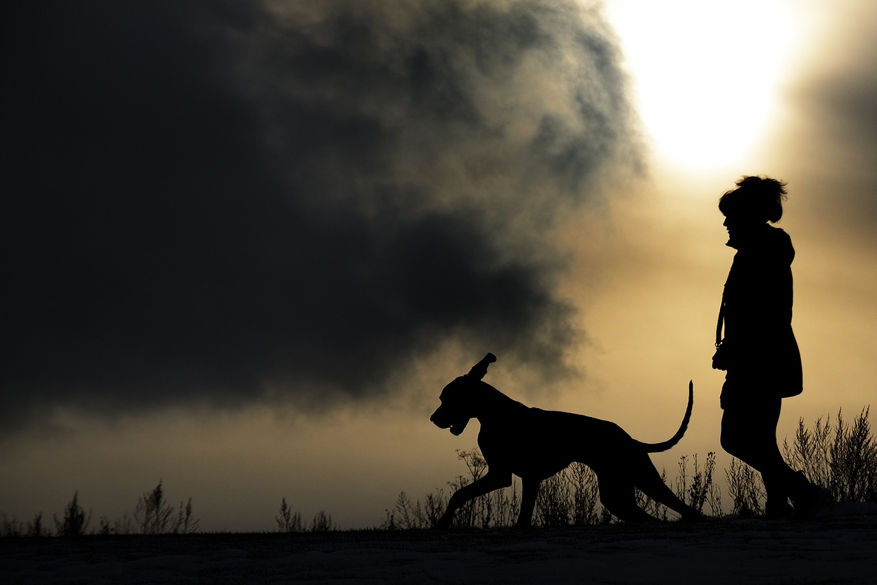 Image - silhouette man and dog great dane