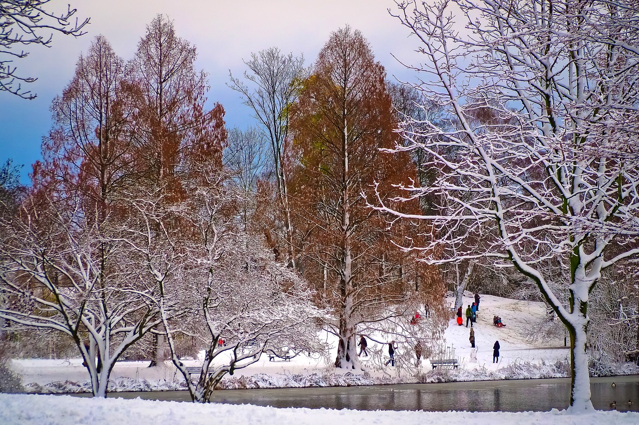 Image - winter snow wintry cold white