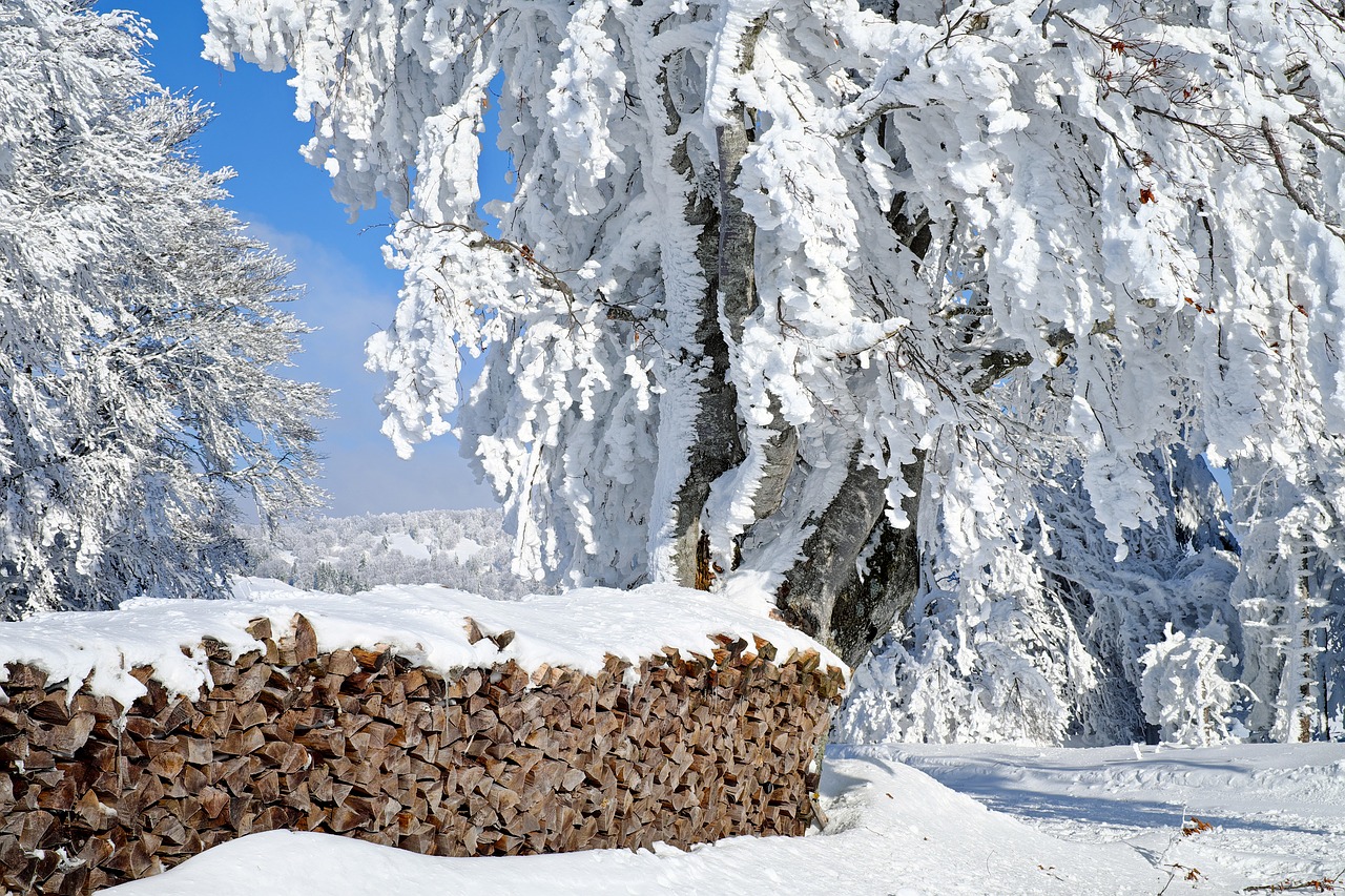 Image - wood firewood holzstapel