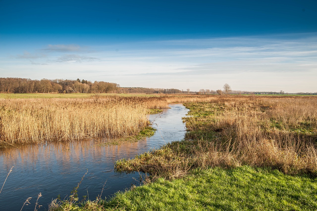 Image - river auen landscape clouds water