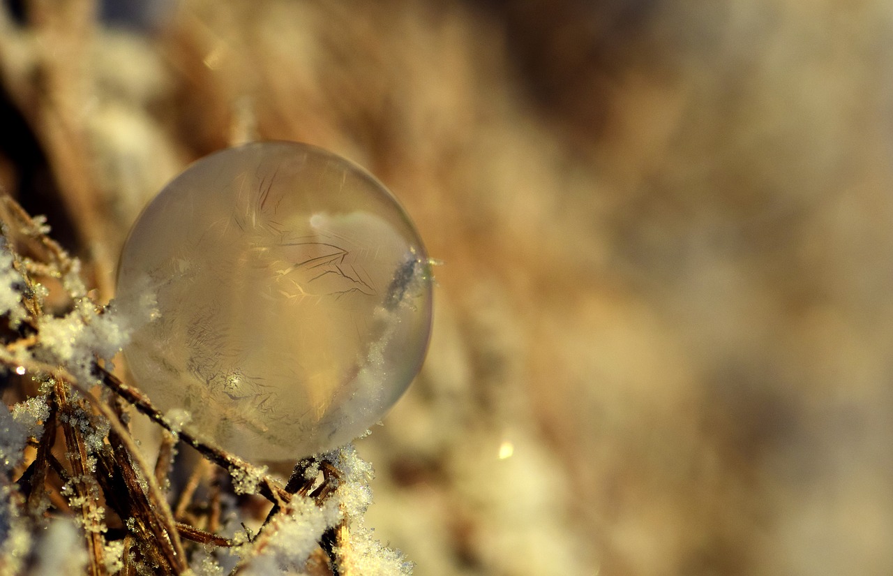 Image - bubble soap bubble frozen winter