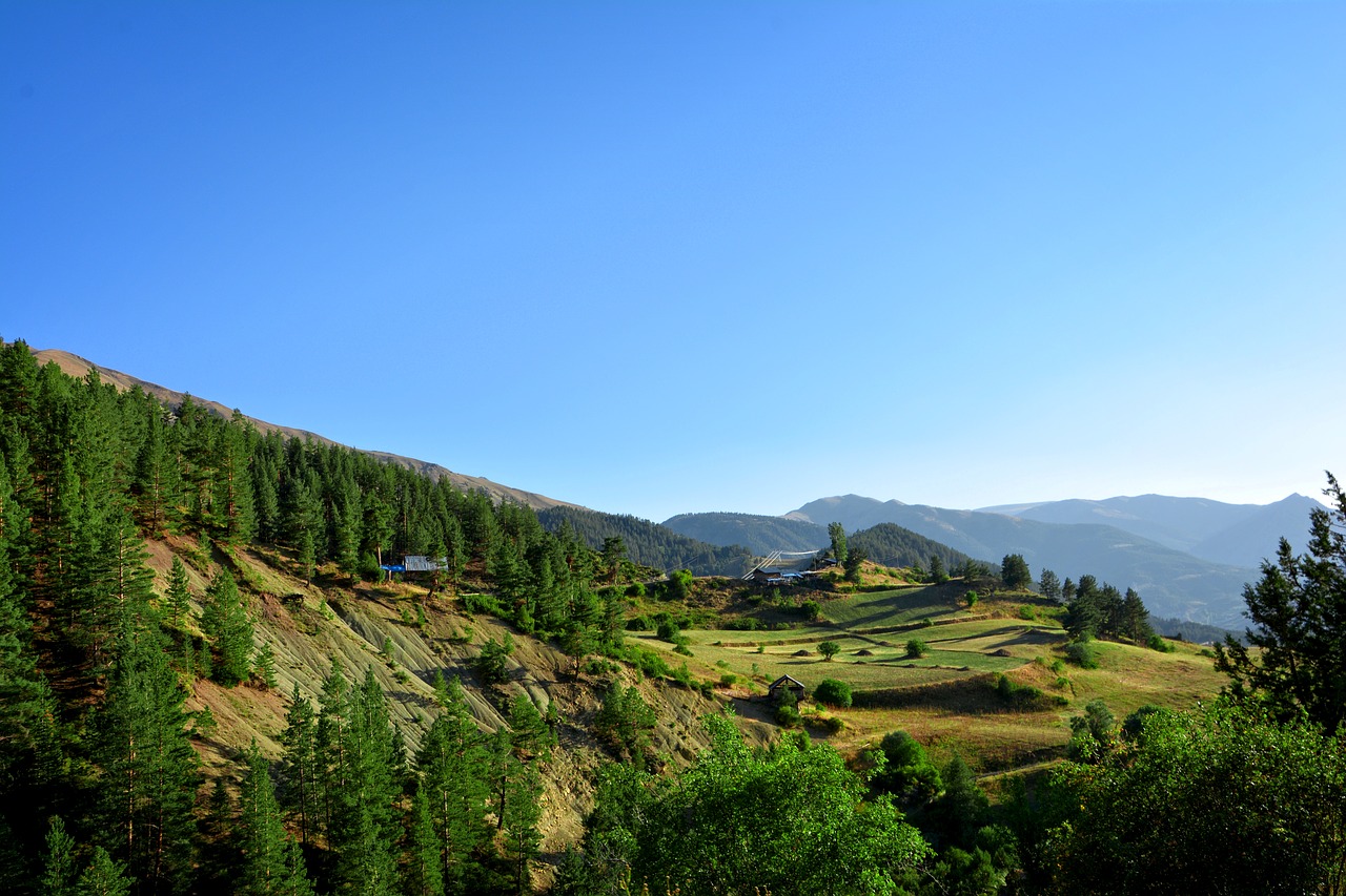 Image - forest highland nature landscape