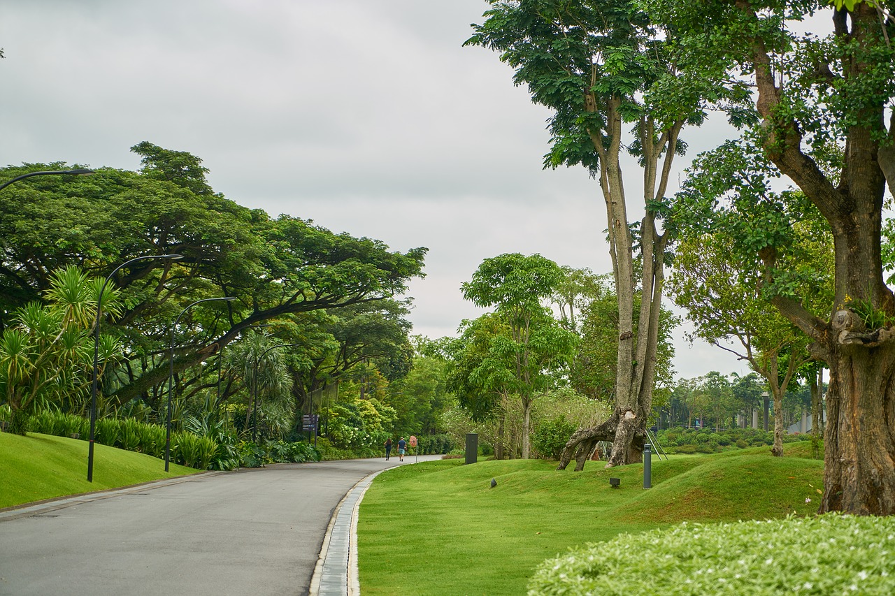 Image - road green grass nature go park