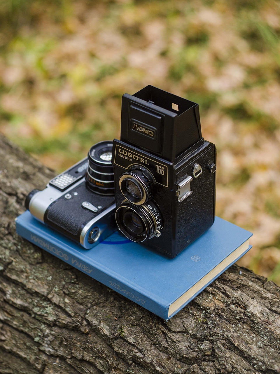 Image - camera book tree exhibit world map