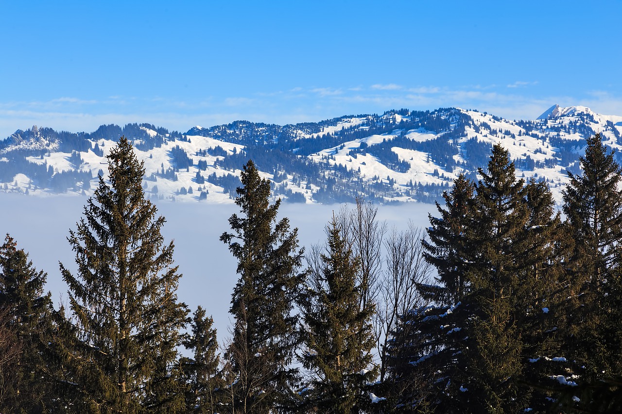 Image - switzerland alps swiss alps nature