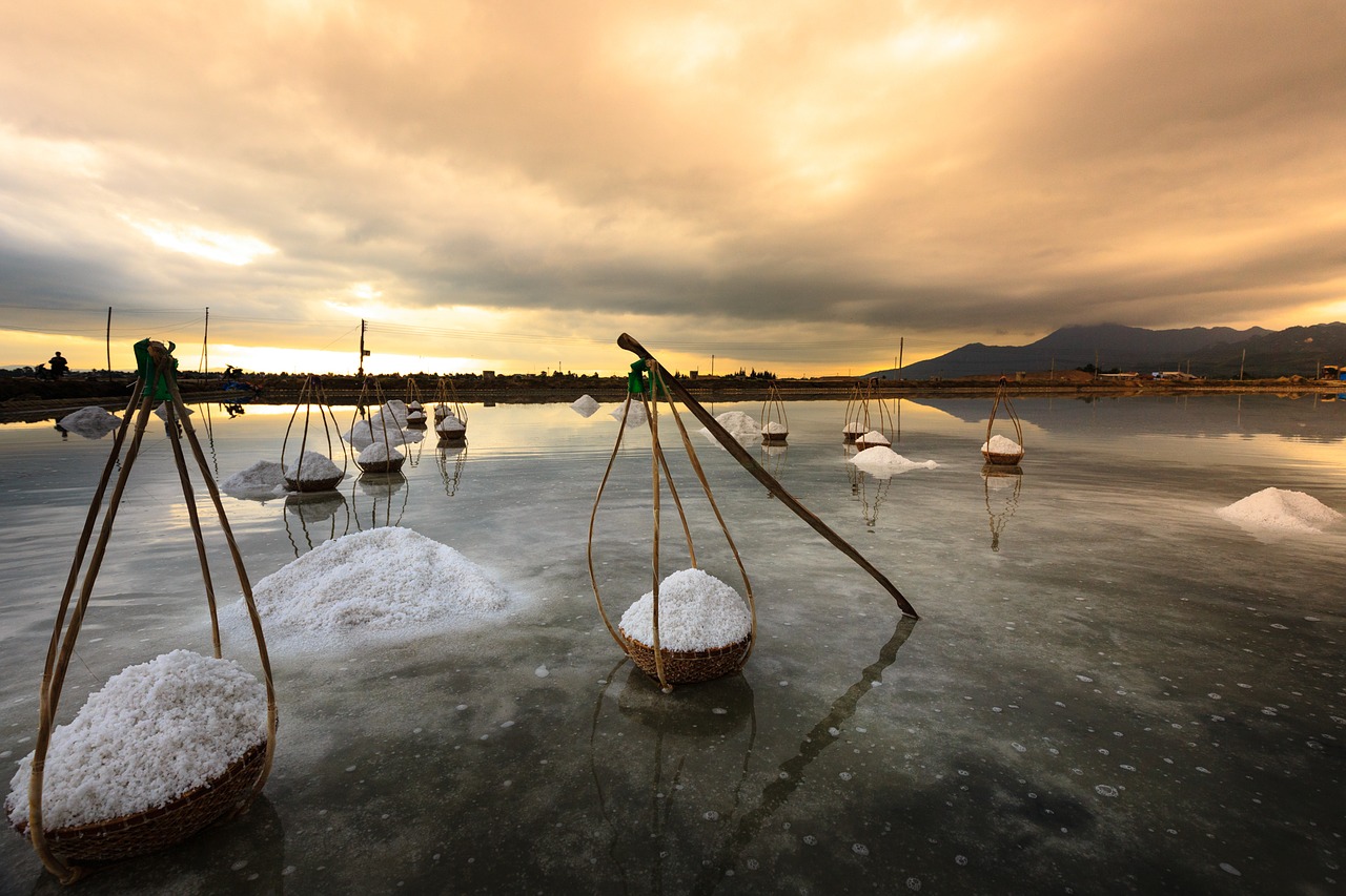 Image - salt honkhoi vietnam field